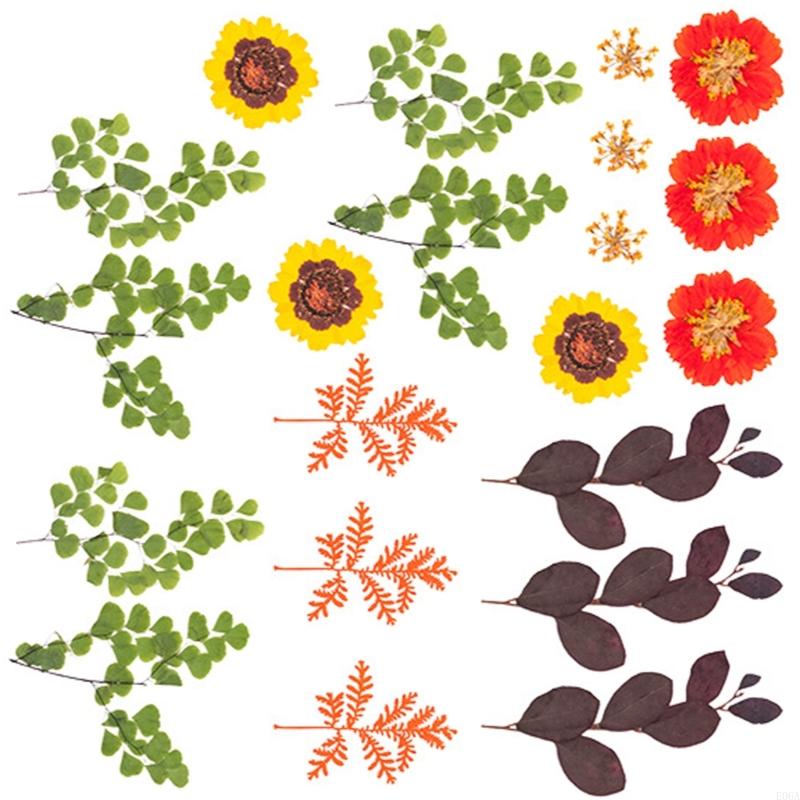 수지 금형 스크랩북 쥬얼리 비누 캔들 만들기용 말린 압 - Art And Craft Nature 리뷰 및 가격