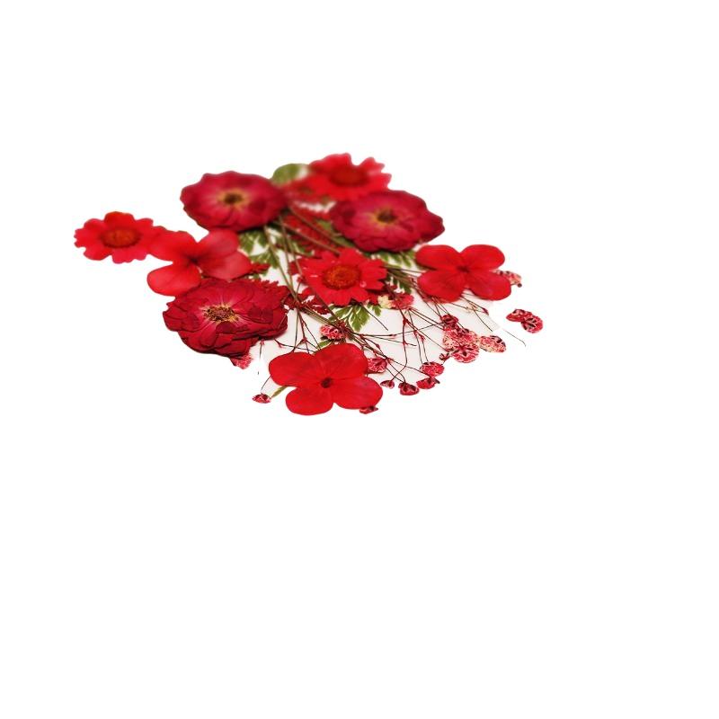 실제 천연 압축 건조 식물 꽃 DIY 공예 재료 네일  - Art And Craft Nature 리뷰 및 가격